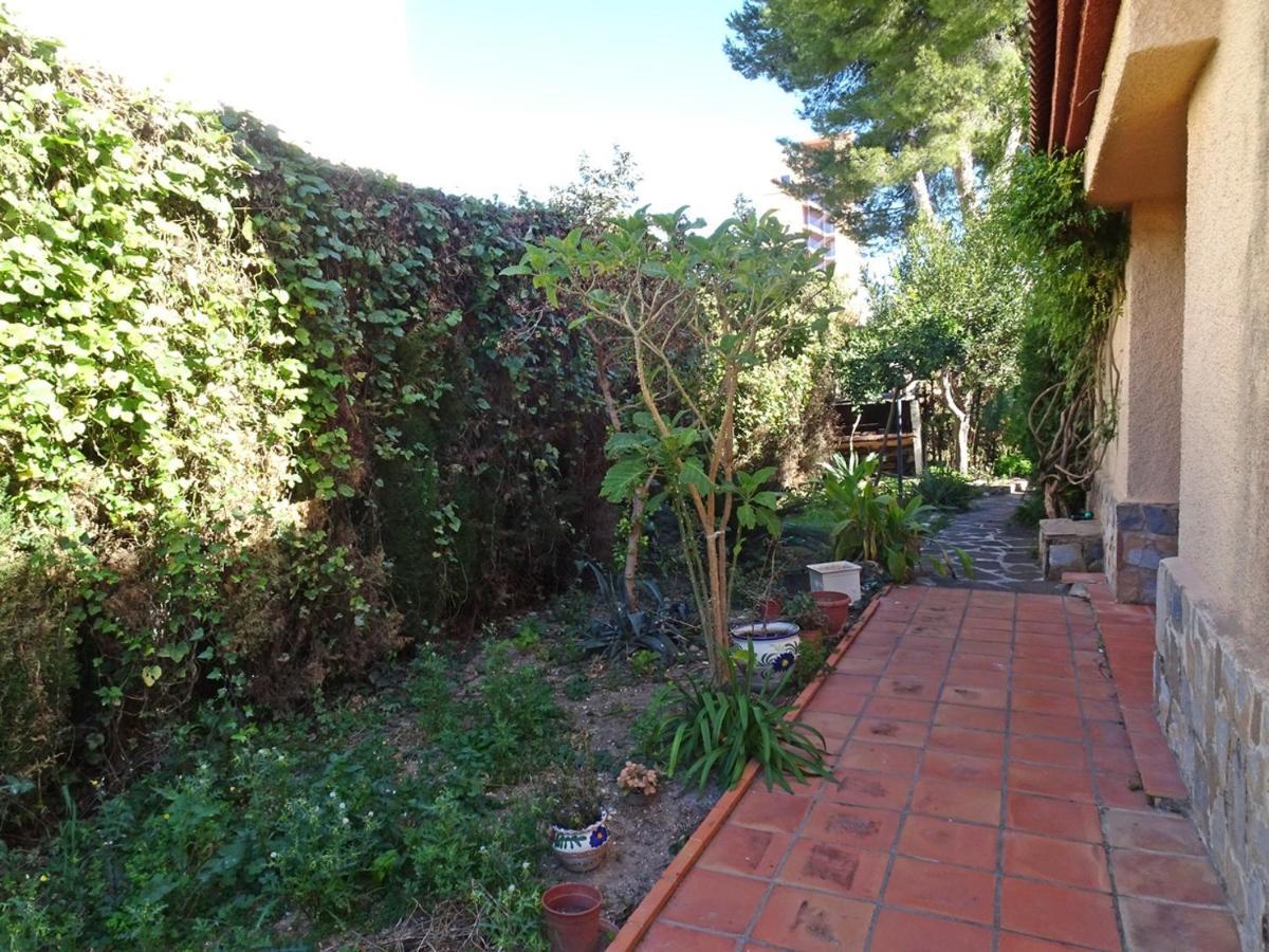 Villa Del Duque, Gandia - Playa de Gandia エクステリア 写真