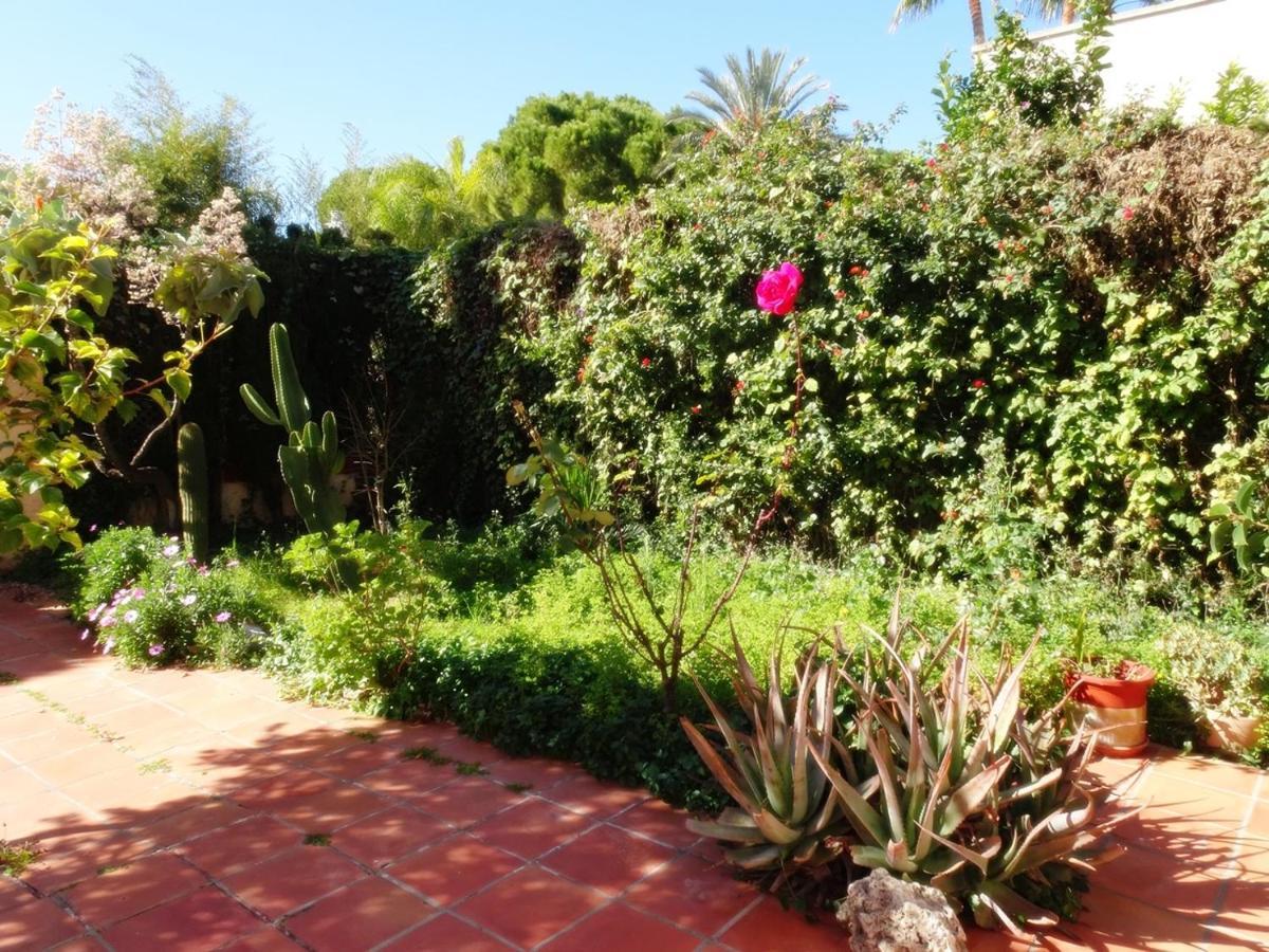 Villa Del Duque, Gandia - Playa de Gandia エクステリア 写真