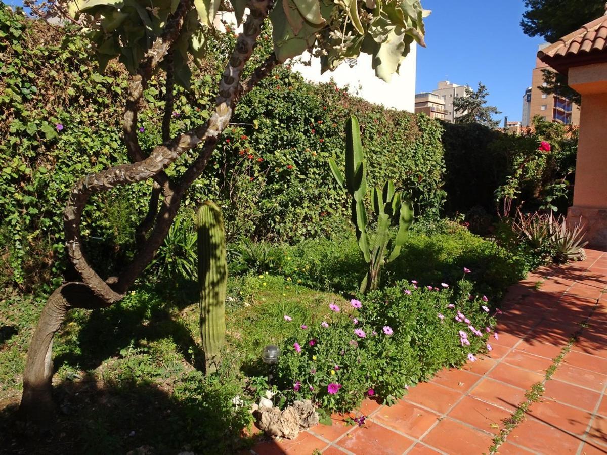 Villa Del Duque, Gandia - Playa de Gandia エクステリア 写真